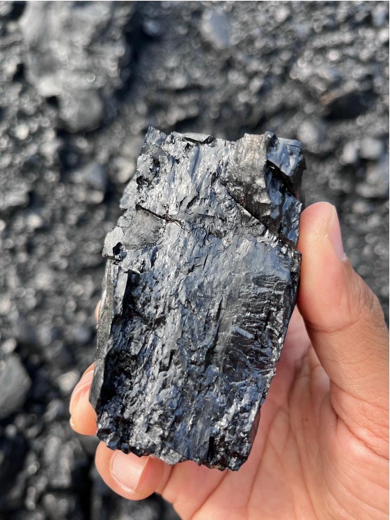 Metal Mineral Resources